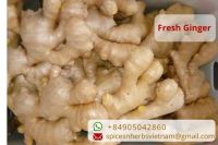 Vietnam ginger export products