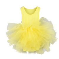 Kids girl ballet tutu dress