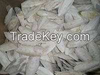 Dried Cuttlefish Bone