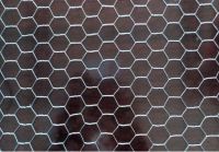 hexagonal wire mesh