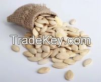 Pumpkin Seeds