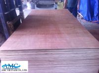 VIETNAM PACKING PLYWOOD