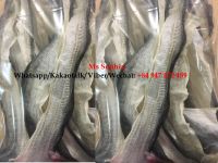 Wholesale  Dry Fish Skin/ Pagasius Fish Skin/ Whatsapp/ Wechat/Kakaotalk: +84 947 472 489