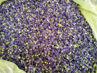 dried Mallow flowers