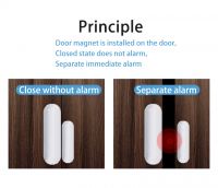 Factory Price Door Sensor Smart Home Magnetic Security System Wireless Smart Door Sensor 