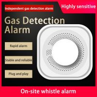 Wholesales Gas Detector For Home Use With Factory Price Oem Odm Support