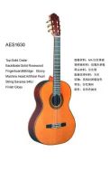 Acoustic Guitar AES 1630