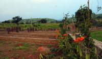 Buy Na Plot In Pune | Buying Residential Plots In Pune - Growscapes