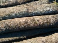 Sawn timber and wood products