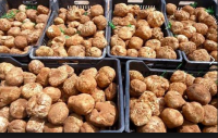 Fresh desert White Truffles 