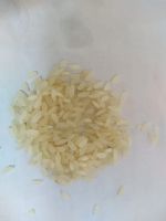 Rice (Sorna 5 Chal)