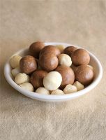 Macadamia nuts