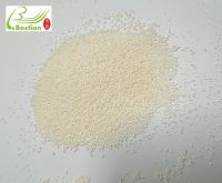Qing song, extracting resin