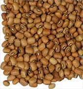 Pigeon pea