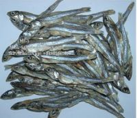 Dried Anchovy Fish