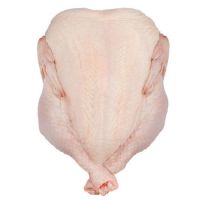 Halal approved frozen whole chicken