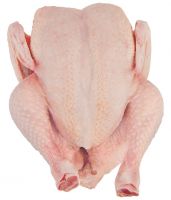 Halal frozen chicken tails, chicken necks and chicken heads