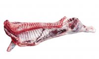 Halal Frozen beef carcass