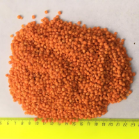 High Quality yellow Split Lentil