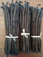 Bulk Best quality organic vanilla beans for sale