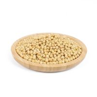 quality soy beans for sale