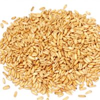  High quality oats nutrition for sale