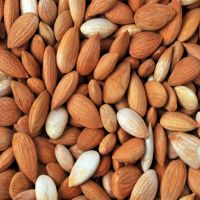 Apricot Kernels for sale