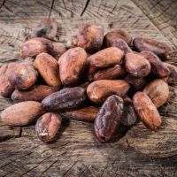 Cocoa Beans, Best grade   for sale