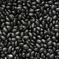 high quality fresh black beans for sale