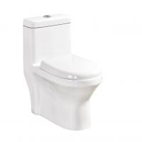 9#Double Hole Cyclone Flushing One Piece Toilet