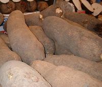 Organic yam