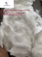 Cotton Comber Noil Bleach - Whatsapp +84 385513258