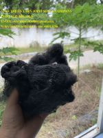 RECYCLED POLYESTER STAPLE FIBER 15D x 64MM NON SILICONE, COLOR BLACK whatsapp +84 353944572