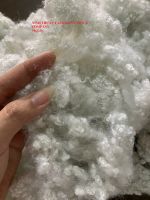 POLYESTER STAPLE FIBER 7D, 15D x 64mm - WHATSAPP +84 385513258 Ms.Lily