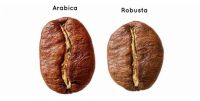 OEM - Arabica and Robusta blending - freeze dried instant coffee
