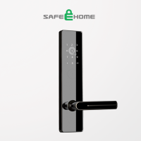 Security Access Control Smart Door Lock