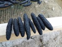 dried sea cucumber