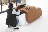 Intelligent Electric Massage Bed 3060
