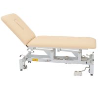 https://www.tradekey.com/product_view/2-Section-Hi-low-Physical-Therapy-Massage-Beds-Electric-Beauty-Treatment-Table-Couch-Physiotherapy-Bed-Cy-c107-9138636.html