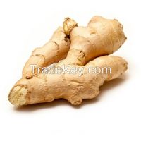 Vegetable, ginger, dried ginger, fresh vegetables