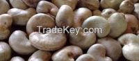 Raw Cashew Nuts