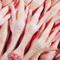 Frozen Chicken meat | Chicken Feet | Chicken Parts