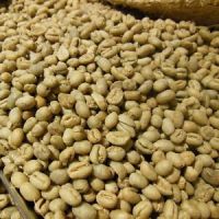 Arabica Coffee beans