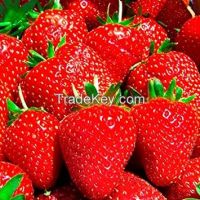 fresh and frozen strawberry