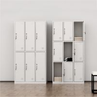 Metal Locker Wardrobe Manufacturer Gym Locker Cheap Locker