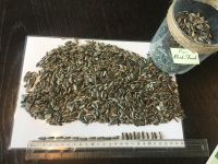 Striped sunflower seeds Badjer 