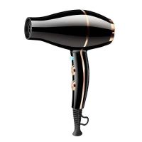 Ac Motor Hair Dryer With Cold Shot Button And Silvery Round Cord