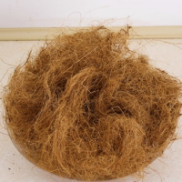 Short Coconut Fiber