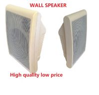 CHINA PA ceiling speaker system high quality background soft music audio system