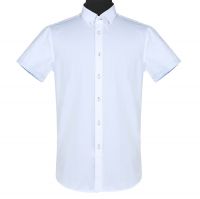 Mens Shirts  HC509